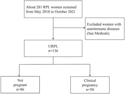 Overexpression of regulatory T cells in patients with unexplained recurrent pregnancy loss: friend or foe?